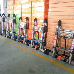 Thang inox rút đôi 56ai chữ a 2,8m bánh xe - Ảnh 3