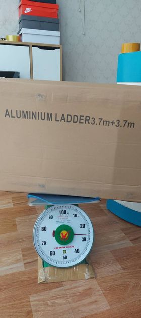 Thang nhôm rút đôi bánh xe 74AI - Ảnh 3